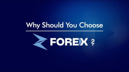 1765064340908.png 1765064340908.png